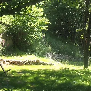 Grande Tente Tipi En Pleine Foret Tente de luxe